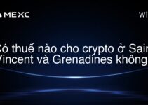Có thuế nào cho crypto ở Saint Vincent và Grenadines không?