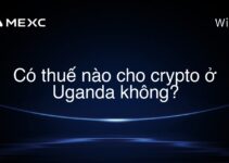 Có thuế nào cho crypto ở Uganda không?