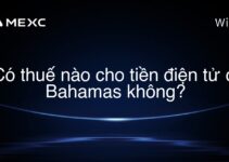 Có thuế nào cho tiền điện tử ở Bahamas không?