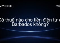 Có thuế nào cho tiền điện tử ở Barbados không?