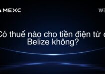 Có thuế nào cho tiền điện tử ở Belize không?