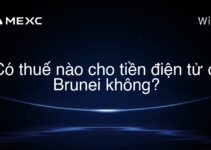 Có thuế nào cho tiền điện tử ở Brunei không?