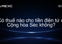 Có thuế nào cho tiền điện tử ở Cộng hòa Séc không?