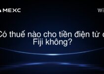 Có thuế nào cho tiền điện tử ở Fiji không?