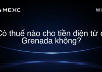 Có thuế nào cho tiền điện tử ở Grenada không?