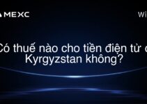 Có thuế nào cho tiền điện tử ở Kyrgyzstan không?