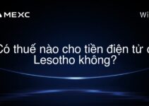 Có thuế nào cho tiền điện tử ở Lesotho không?