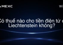 Có thuế nào cho tiền điện tử ở Liechtenstein không?