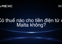 Có thuế nào cho tiền điện tử ở Malta không?