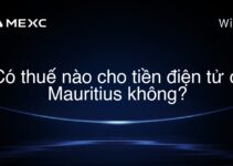 Có thuế nào cho tiền điện tử ở Mauritius không?
