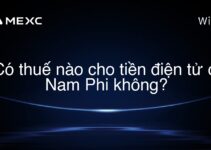 Có thuế nào cho tiền điện tử ở Nam Phi không?