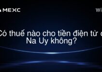 Có thuế nào cho tiền điện tử ở Na Uy không?