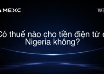 Có thuế nào cho tiền điện tử ở Nigeria không?