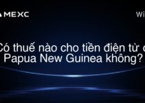 Có thuế nào cho tiền điện tử ở Papua New Guinea không?