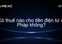 Có thuế nào cho tiền điện tử ở Pháp không?