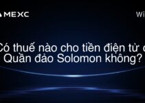 Có thuế nào cho tiền điện tử ở Quần đảo Solomon không?
