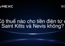 Có thuế nào cho tiền điện tử ở Saint Kitts và Nevis không?