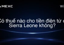 Có thuế nào cho tiền điện tử ở Sierra Leone không?