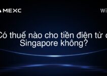 Có thuế nào cho tiền điện tử ở Singapore không?