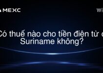 Có thuế nào cho tiền điện tử ở Suriname không?