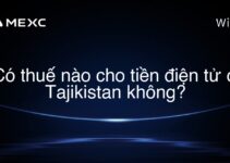 Có thuế nào cho tiền điện tử ở Tajikistan không?