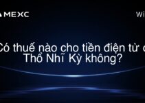 Có thuế nào cho tiền điện tử ở Thổ Nhĩ Kỳ không?