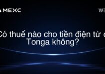 Có thuế nào cho tiền điện tử ở Tonga không?