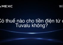 Có thuế nào cho tiền điện tử ở Tuvalu không?