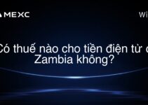 Có thuế nào cho tiền điện tử ở Zambia không?