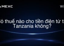Có thuế nào cho tiền điện tử tại Tanzania không?