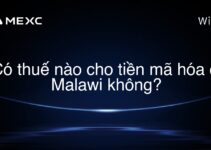 Có thuế nào cho tiền mã hóa ở Malawi không?