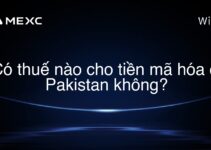 Có thuế nào cho tiền mã hóa ở Pakistan không?