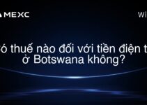 Có thuế nào đối với tiền điện tử ở Botswana không?