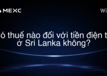 Có thuế nào đối với tiền điện tử ở Sri Lanka không?