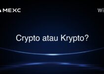 Crypto atau Krypto?