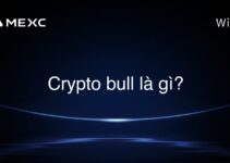 Crypto bull là gì?