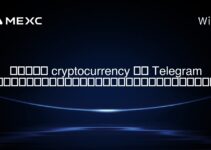 กลุ่ม cryptocurrency บน Telegram ที่มีชื่อเสียงในอินเดียคืออะไร?