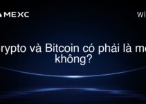 Crypto và Bitcoin có phải là một không?