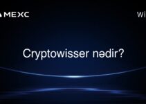 Cryptowisser nədir?
