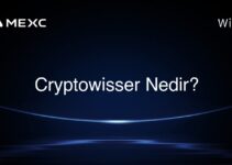 Cryptowisser Nedir?