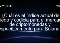 ¿Cuál es el índice actual de miedo y codicia para el mercado de criptomonedas y específicamente para Solana?