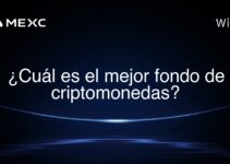 ¿Cuál es el mejor fondo de criptomonedas?
