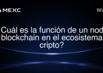 ¿Cuál es la función de un nodo blockchain en el ecosistema cripto?