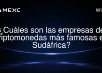 ¿Cuáles son las empresas de criptomonedas más famosas en Sudáfrica?