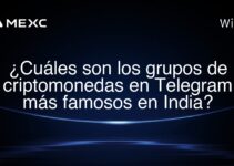 ¿Cuáles son los grupos de criptomonedas en Telegram más famosos en India?