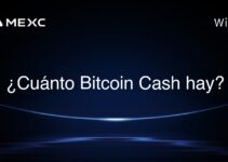 ¿Cuánto Bitcoin Cash hay?