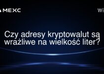 Czy adresy kryptowalut są wrażliwe na wielkość liter?