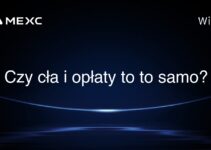 Czy cła i opłaty to to samo?