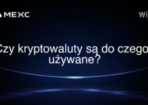 Czy kryptowaluty są do czegoś używane?
