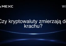 Czy kryptowaluty zmierzają do krachu?